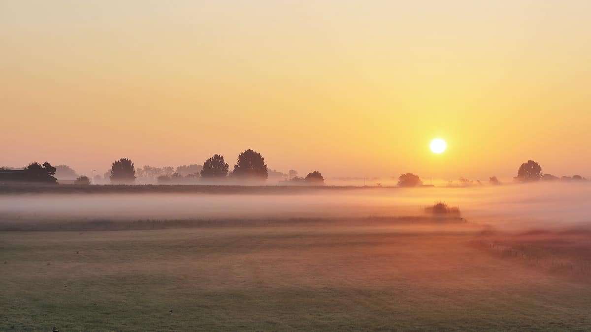 Foggy field with the sun on the horizon.